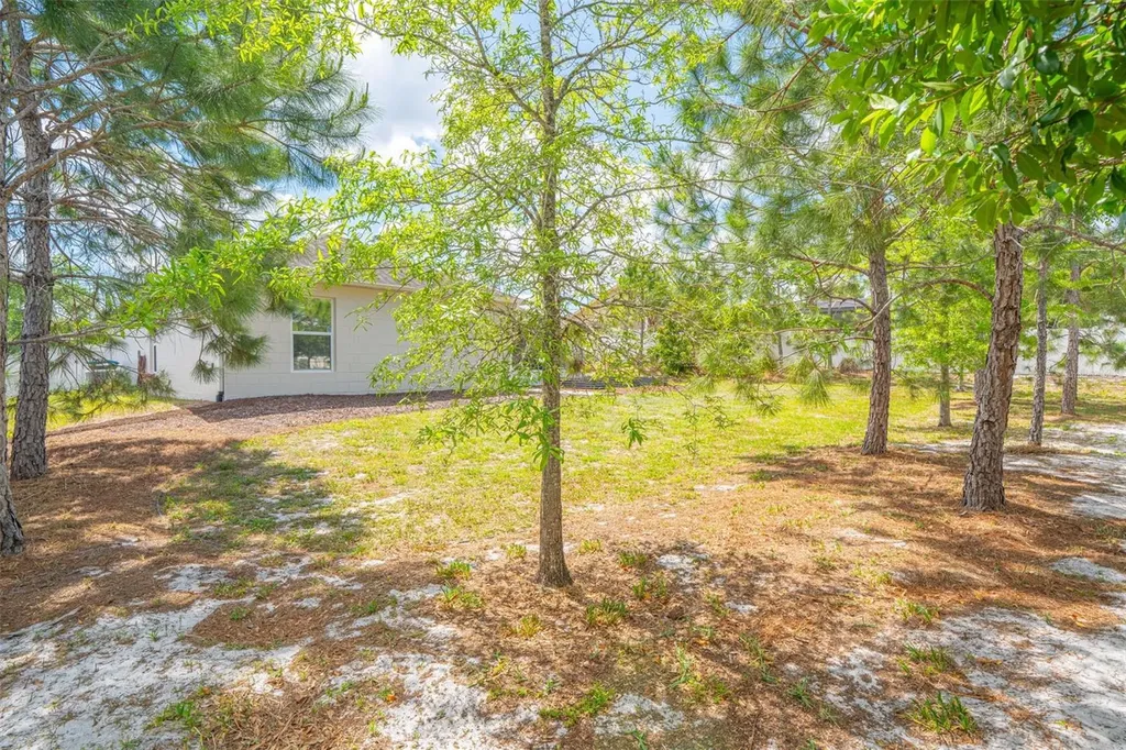 1284 Azora Drive Deltona FL 32725