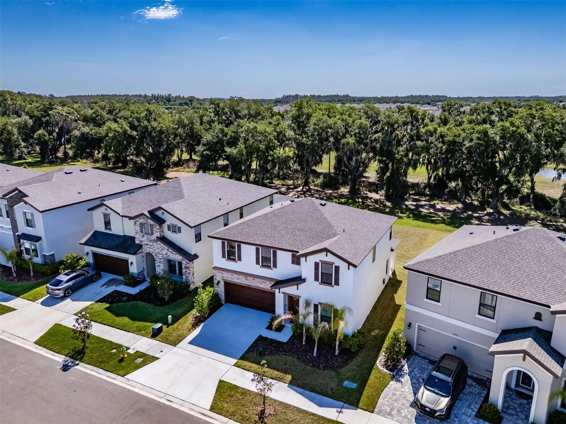 14733 Gallop Run Drive Lithia FL 33547