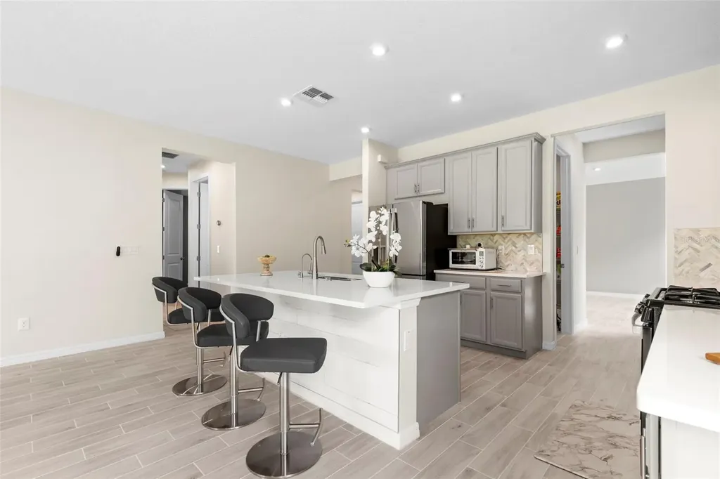 33410 Castaway Loop Wesley Chapel FL 33543