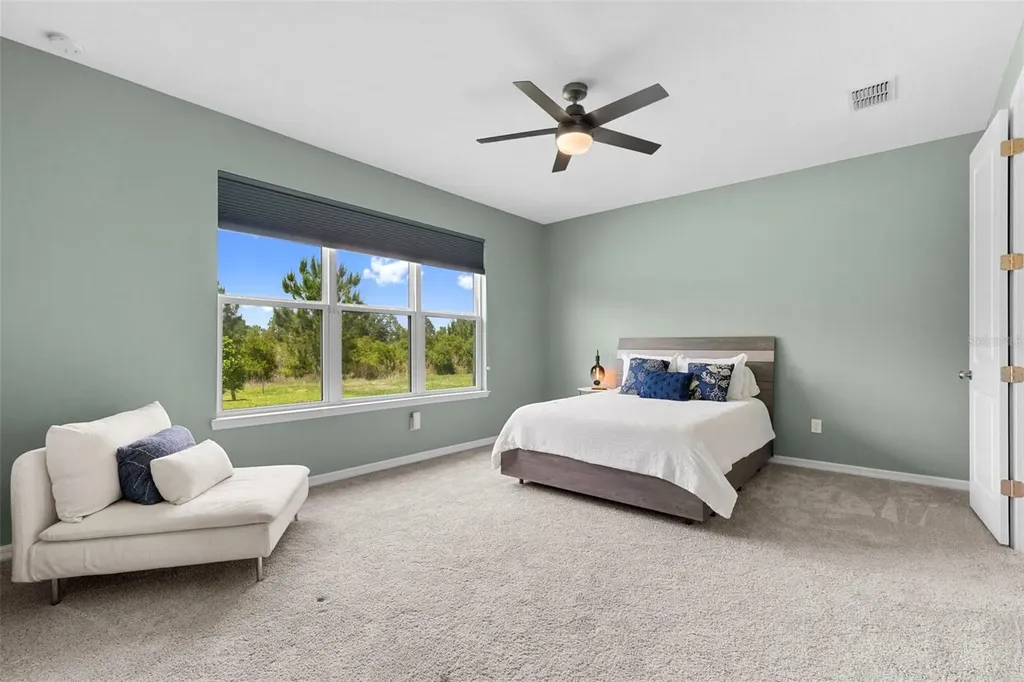 33410 Castaway Loop Wesley Chapel FL 33543