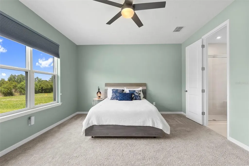 33410 Castaway Loop Wesley Chapel FL 33543