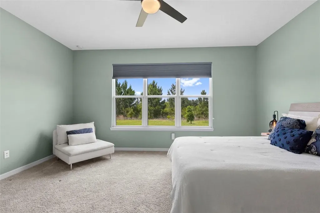 33410 Castaway Loop Wesley Chapel FL 33543