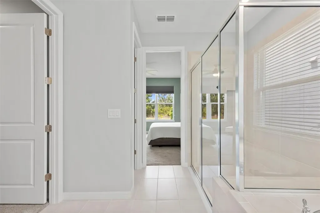 33410 Castaway Loop Wesley Chapel FL 33543