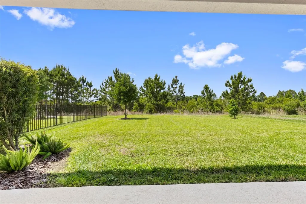 33410 Castaway Loop Wesley Chapel FL 33543