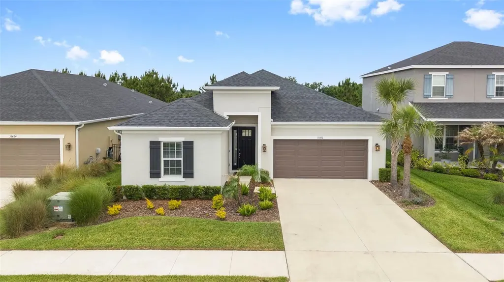 33410 Castaway Loop Wesley Chapel FL 33543