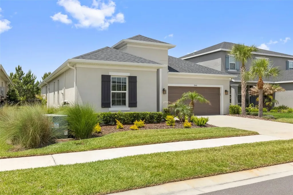 33410 Castaway Loop Wesley Chapel FL 33543