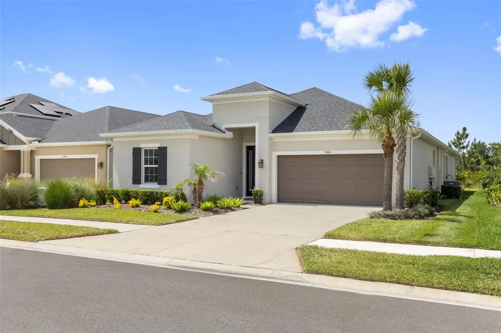 33410 Castaway Loop Wesley Chapel FL 33543