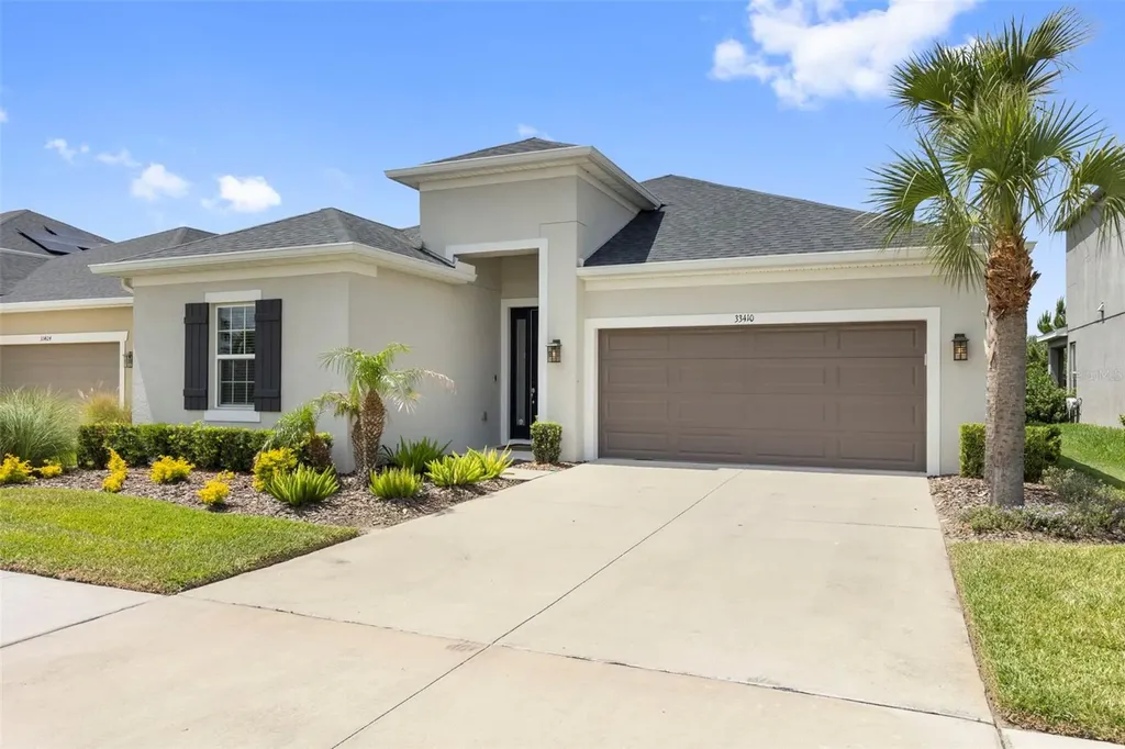 33410 Castaway Loop Wesley Chapel FL 33543