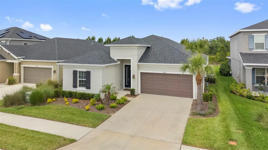 33410 Castaway Loop Wesley Chapel FL 33543