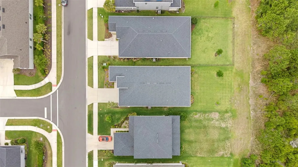 33410 Castaway Loop Wesley Chapel FL 33543
