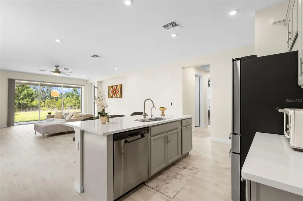 33410 Castaway Loop Wesley Chapel FL 33543