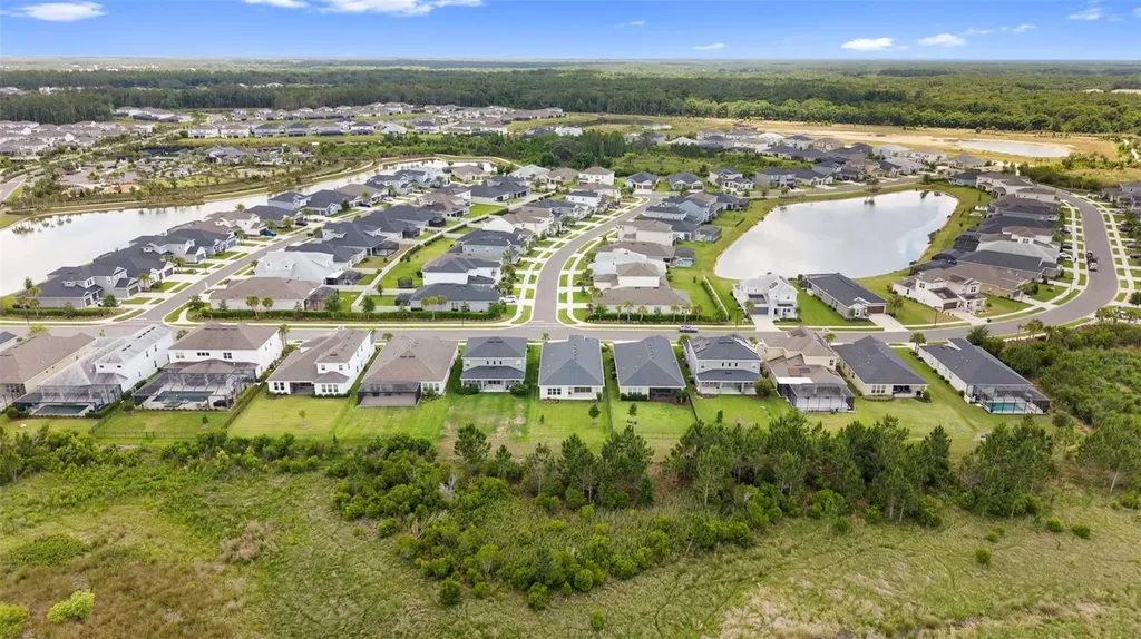 33410 Castaway Loop Wesley Chapel FL 33543