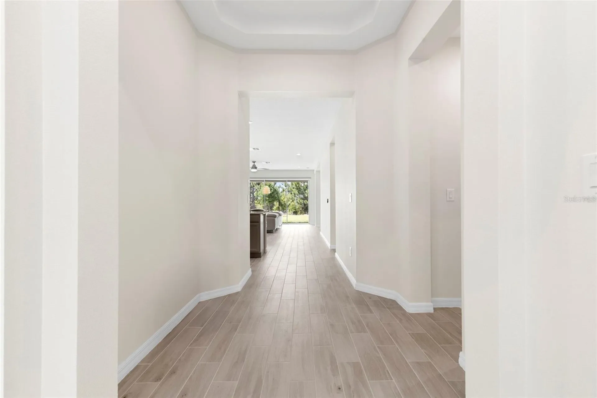 33410 Castaway Loop Wesley Chapel FL 33543