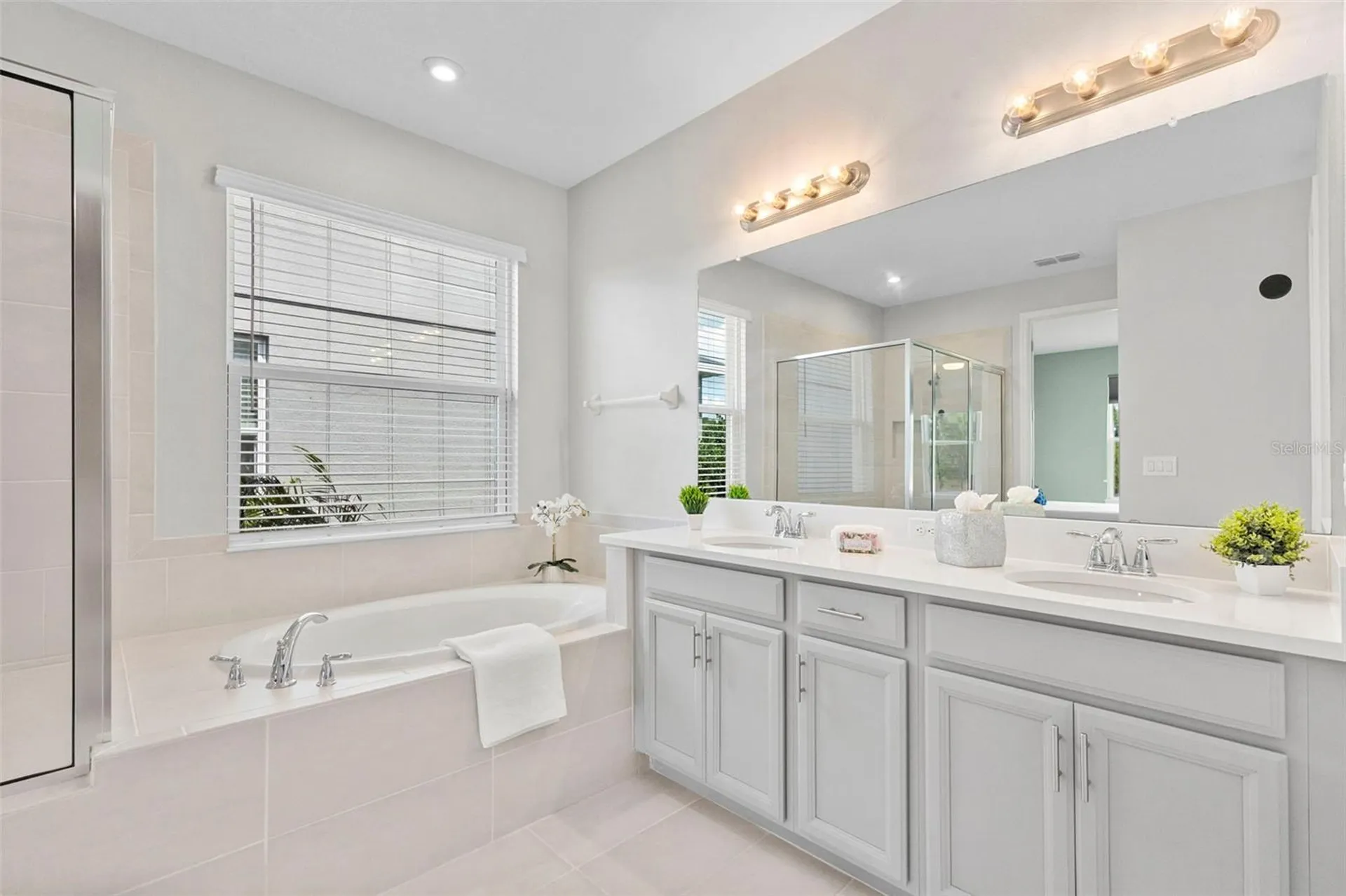 33410 Castaway Loop Wesley Chapel FL 33543