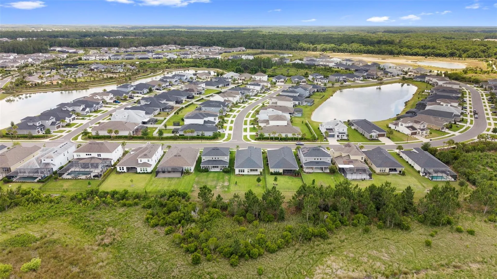 33410 Castaway Loop Wesley Chapel FL 33543