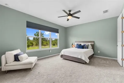 33410 Castaway Loop Wesley Chapel FL 33543