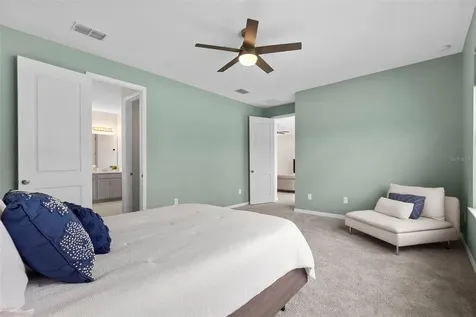 33410 Castaway Loop Wesley Chapel FL 33543