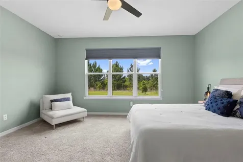 33410 Castaway Loop Wesley Chapel FL 33543