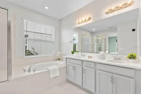33410 Castaway Loop Wesley Chapel FL 33543