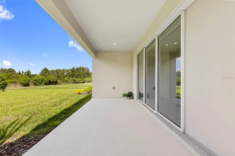 33410 Castaway Loop Wesley Chapel FL 33543