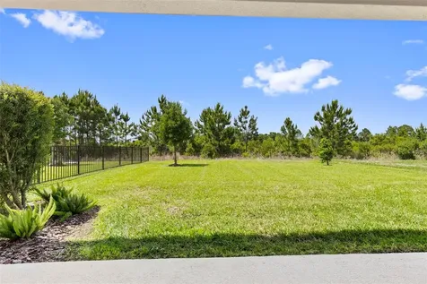 33410 Castaway Loop Wesley Chapel FL 33543