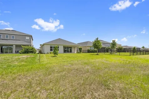 33410 Castaway Loop Wesley Chapel FL 33543