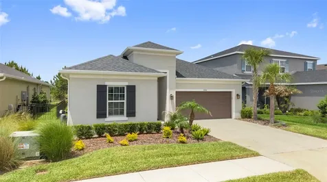 33410 Castaway Loop Wesley Chapel FL 33543