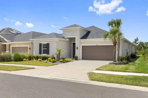 33410 Castaway Loop Wesley Chapel FL 33543