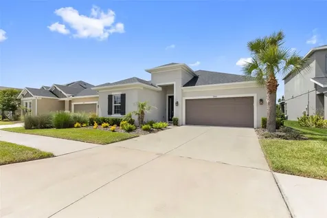 33410 Castaway Loop Wesley Chapel FL 33543
