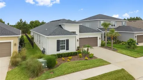 33410 Castaway Loop Wesley Chapel FL 33543