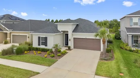 33410 Castaway Loop Wesley Chapel FL 33543