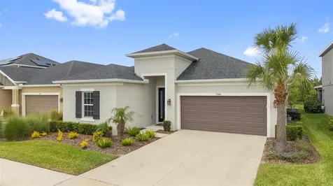 33410 Castaway Loop Wesley Chapel FL 33543