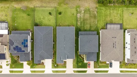 33410 Castaway Loop Wesley Chapel FL 33543
