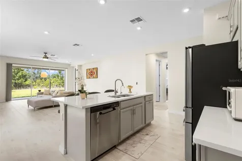 33410 Castaway Loop Wesley Chapel FL 33543