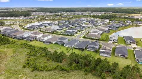 33410 Castaway Loop Wesley Chapel FL 33543