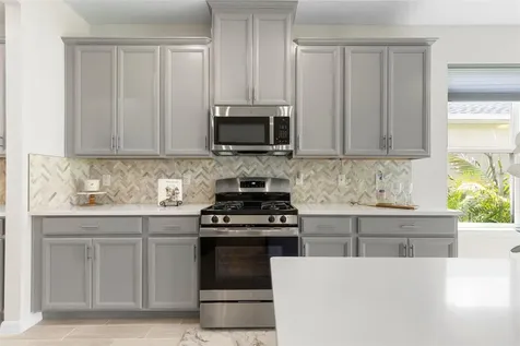 33410 Castaway Loop Wesley Chapel FL 33543
