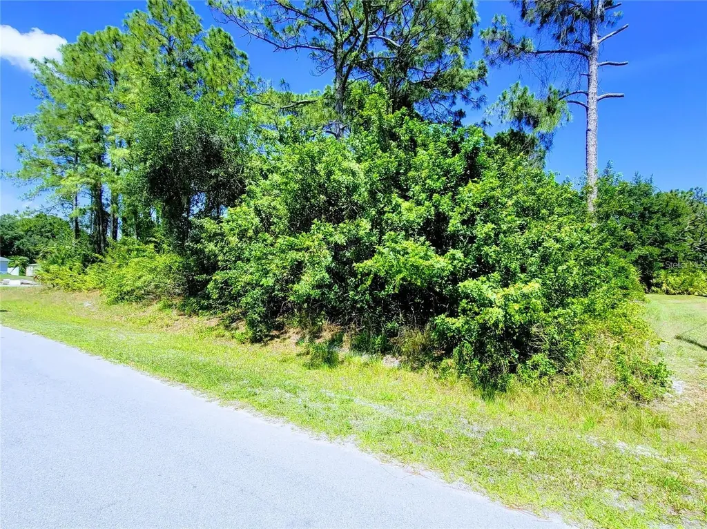 Delmonte Street North Port FL 34288
