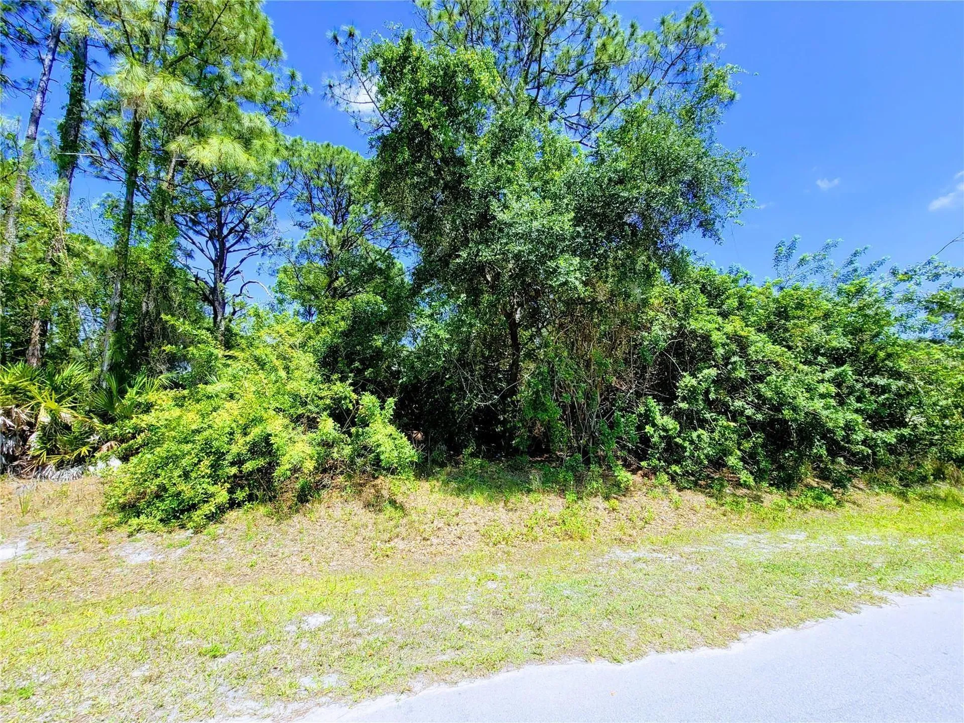 Delmonte Street North Port FL 34288