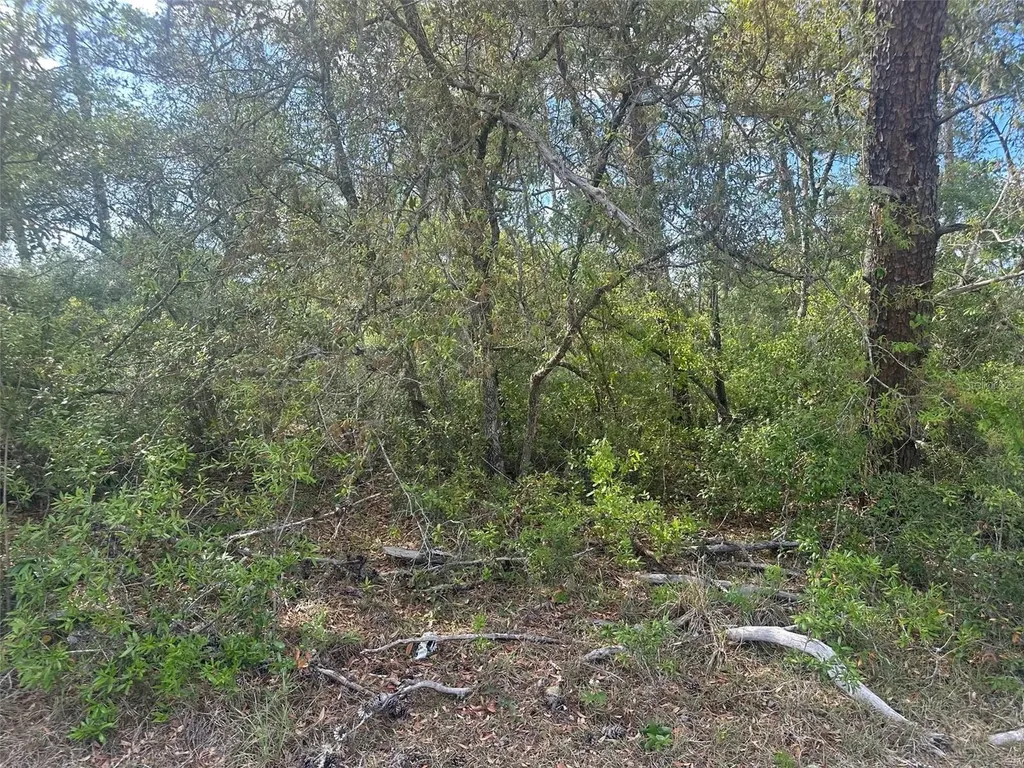 Lot 6 SW 170th Place Ocala FL 34473
