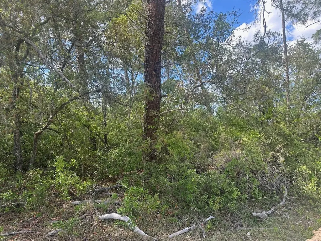 Lot 6 SW 170th Place Ocala FL 34473
