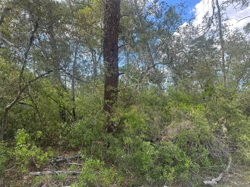 Lot 6 SW 170th Place Ocala FL 34473