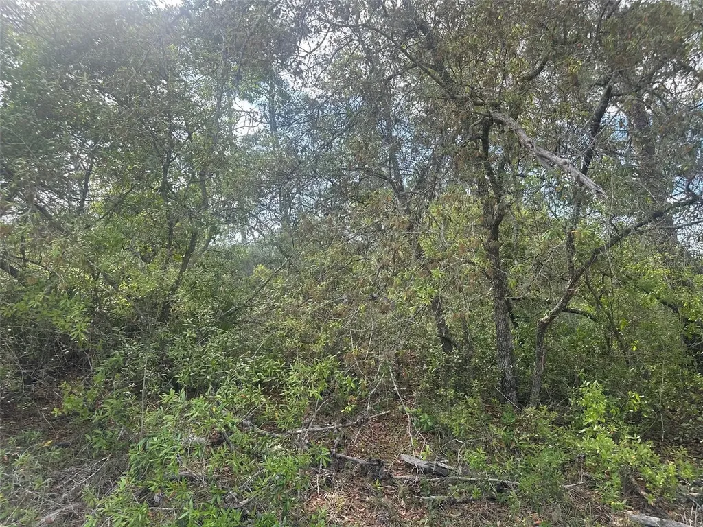 Lot 6 SW 170th Place Ocala FL 34473