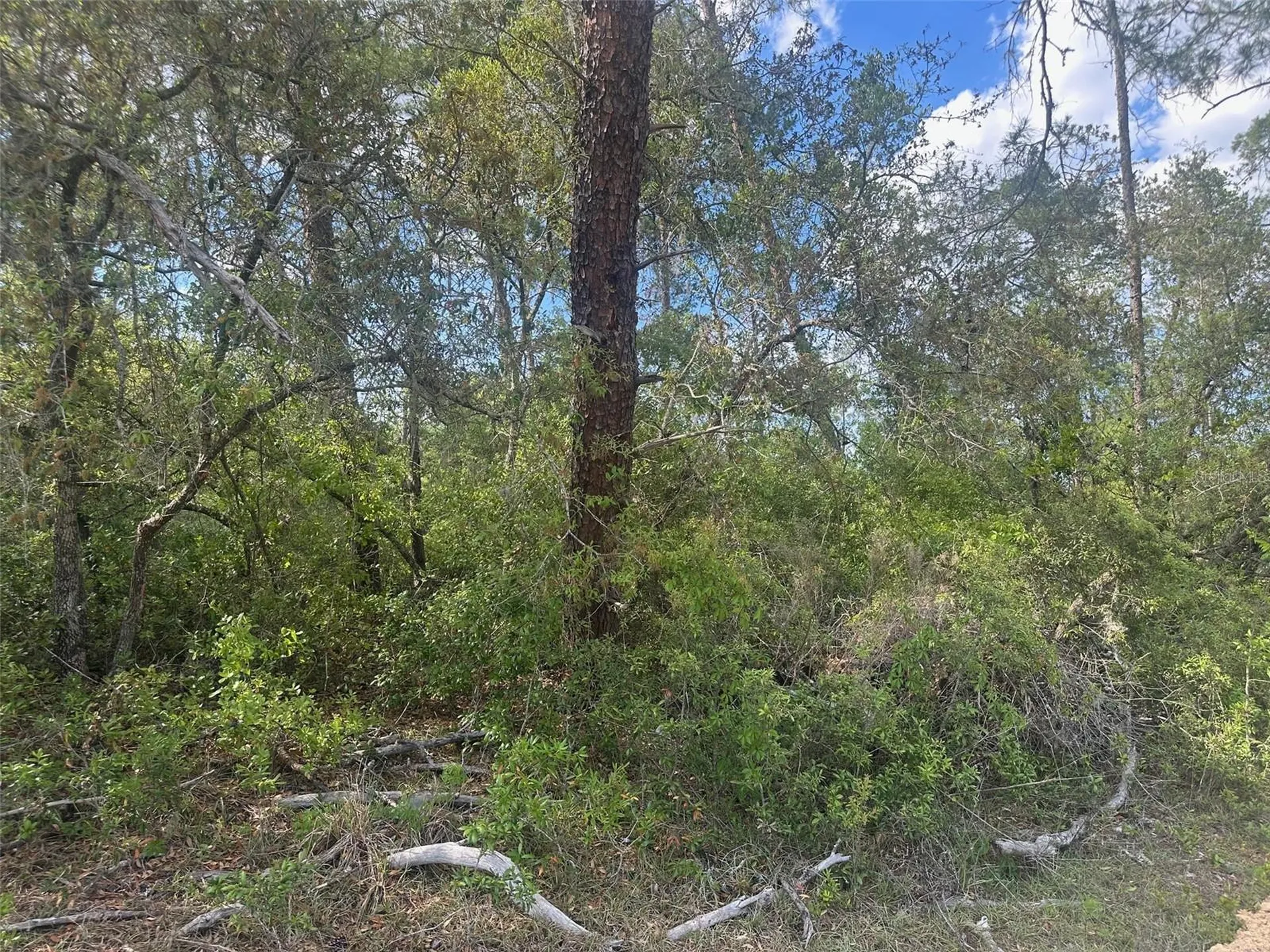 Lot 6 SW 170th Place Ocala FL 34473