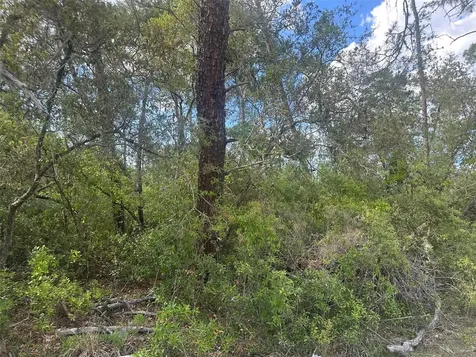 Lot 6 SW 170th Place Ocala FL 34473
