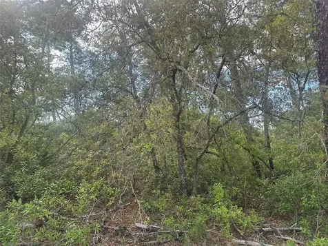 Lot 6 SW 170th Place Ocala FL 34473