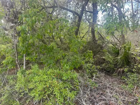 Lot 6 SW 170th Place Ocala FL 34473