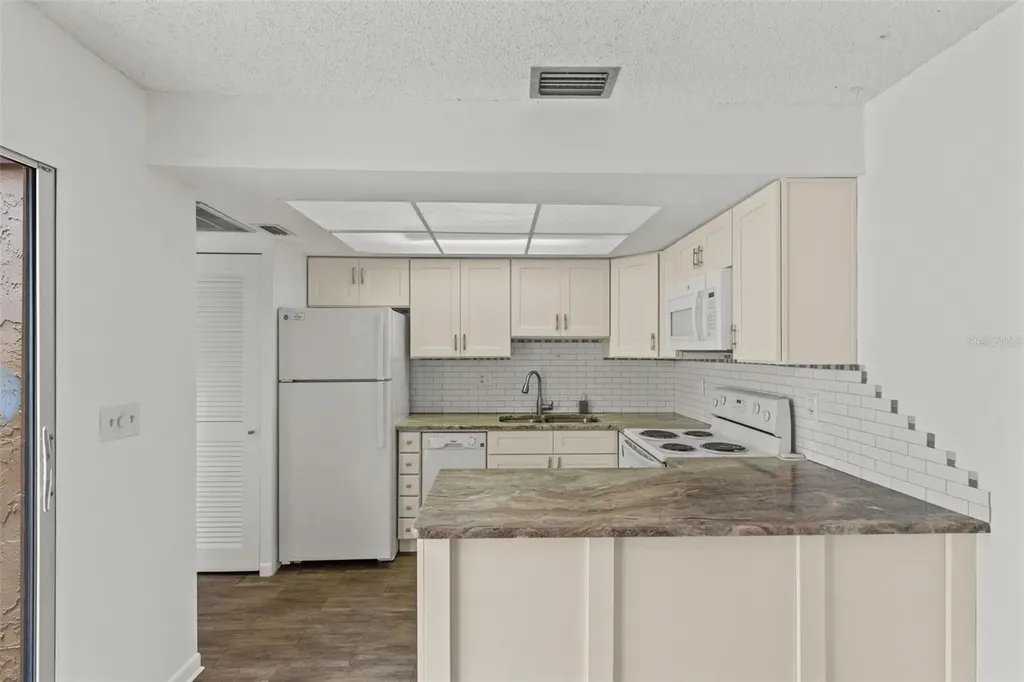 1163 Orange Tree Circle W Palm Harbor FL 34684