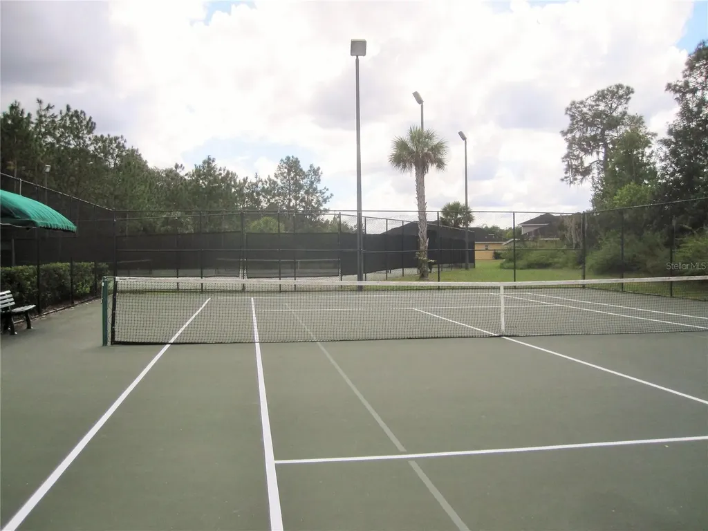 20044 Date Palm Way Tampa FL 33647