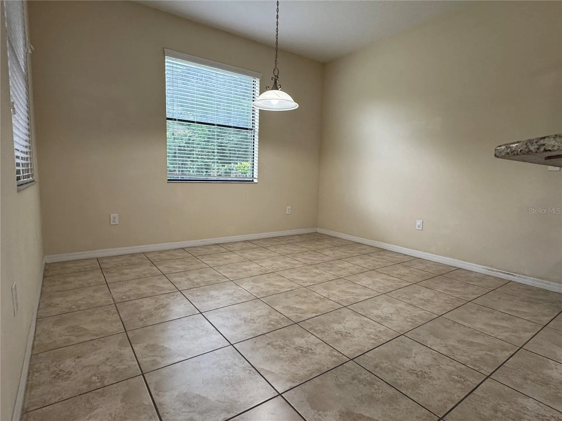 20044 Date Palm Way Tampa FL 33647