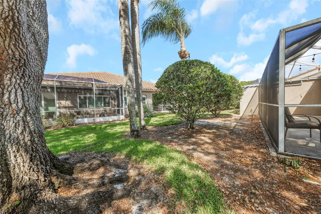3838 Muirfield Court Palm Harbor FL 34685